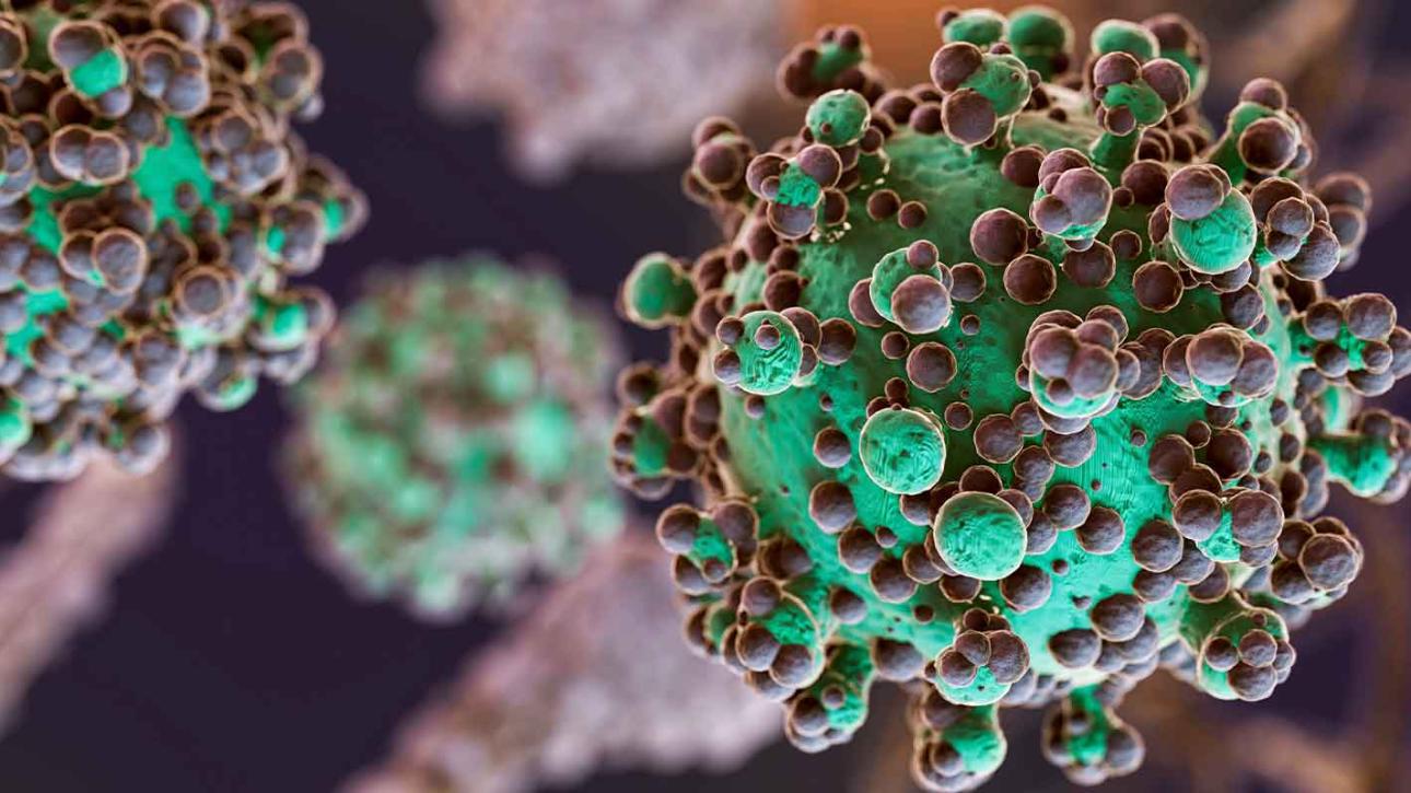 Biofilm Uv Detection A Game Changer For Pharmaceuticals