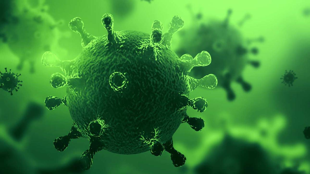 Biofilm Detection by BioDtex UV Lamp