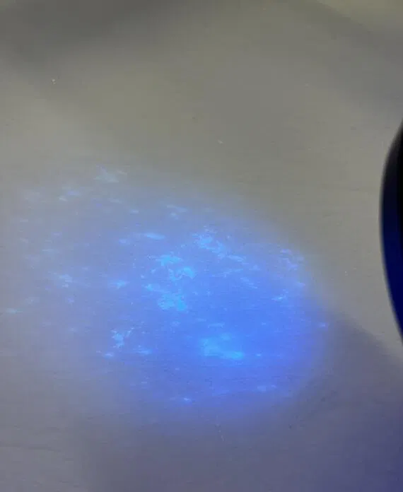 0568a9f6 1ed2 40f3 B6ba 4232216b2368 570x696