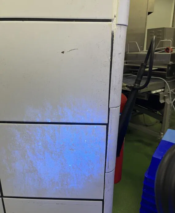 8b5546a4 8350 4458 8809 127b6e99c786 570x696